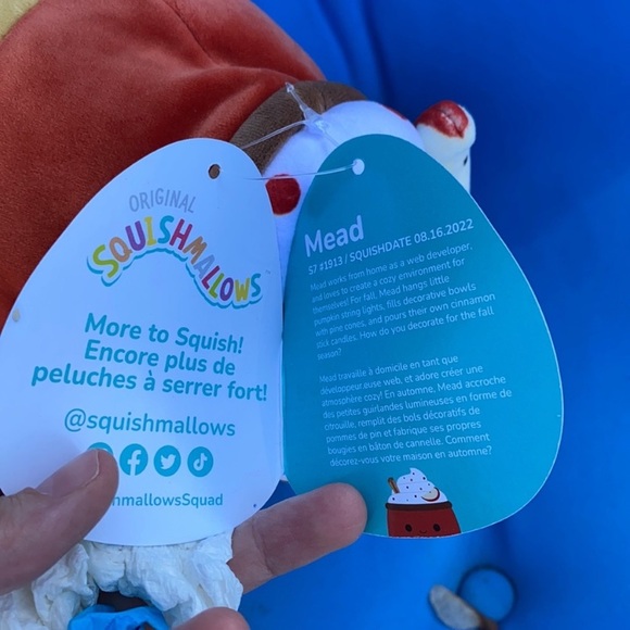 Original Squishmallows Mead Size 7 “inch Harvest AppleCider NWTS HalloweenThemed - Picture 12 of 16